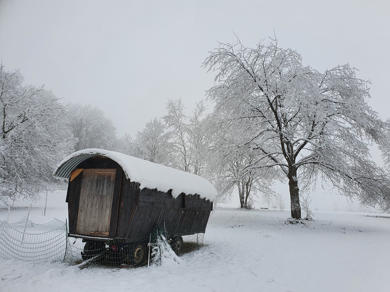 Poulailler sous la neige Poulailler sous la neige